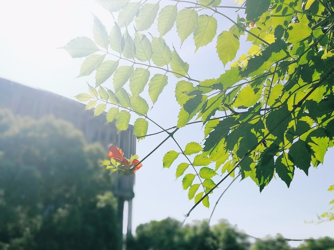 九溪虽小你却没用心体验过,别有一方风味