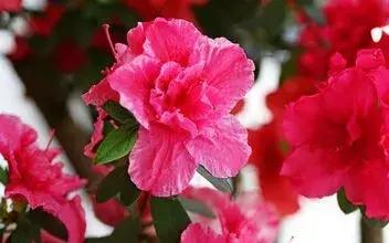 小孩手掌肿胀半夜疼严重,孩子有一只手背肿了