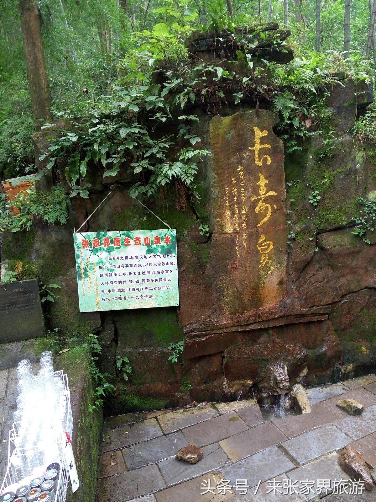 山东到张家界凤凰五日游攻略图文,佛山去张家界旅游攻略路线推荐图