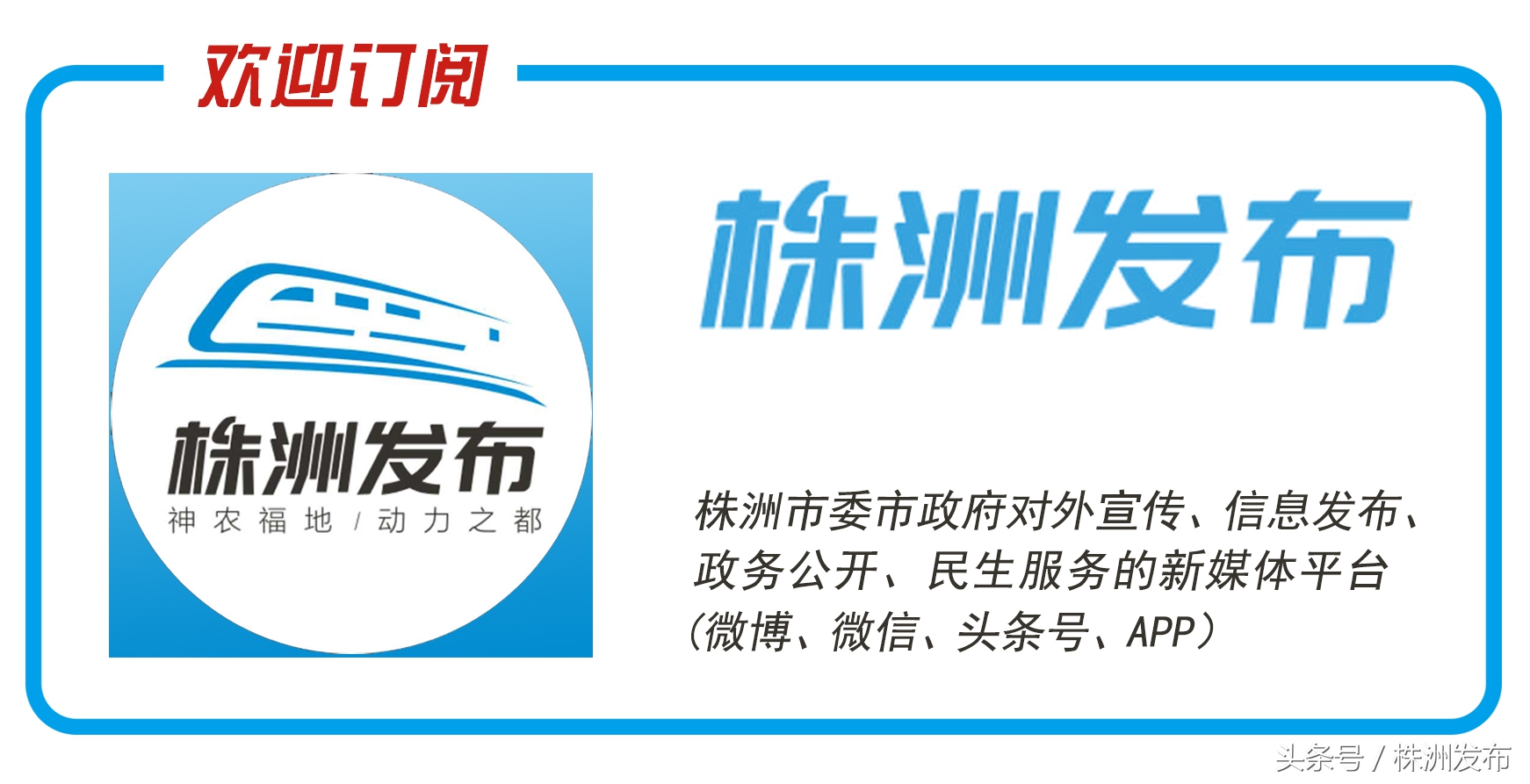 党员干部看世界杯,党员干部踢好自己的世界杯