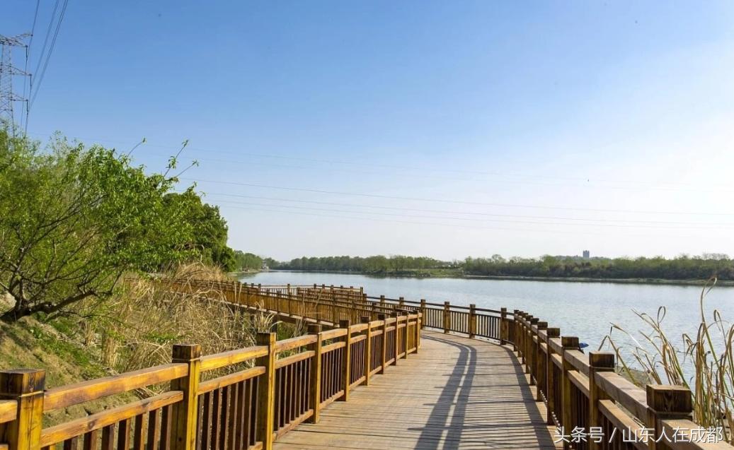 要火！去年刷爆朋友圈的温江紫薇园，今年要修长廊、观景台！