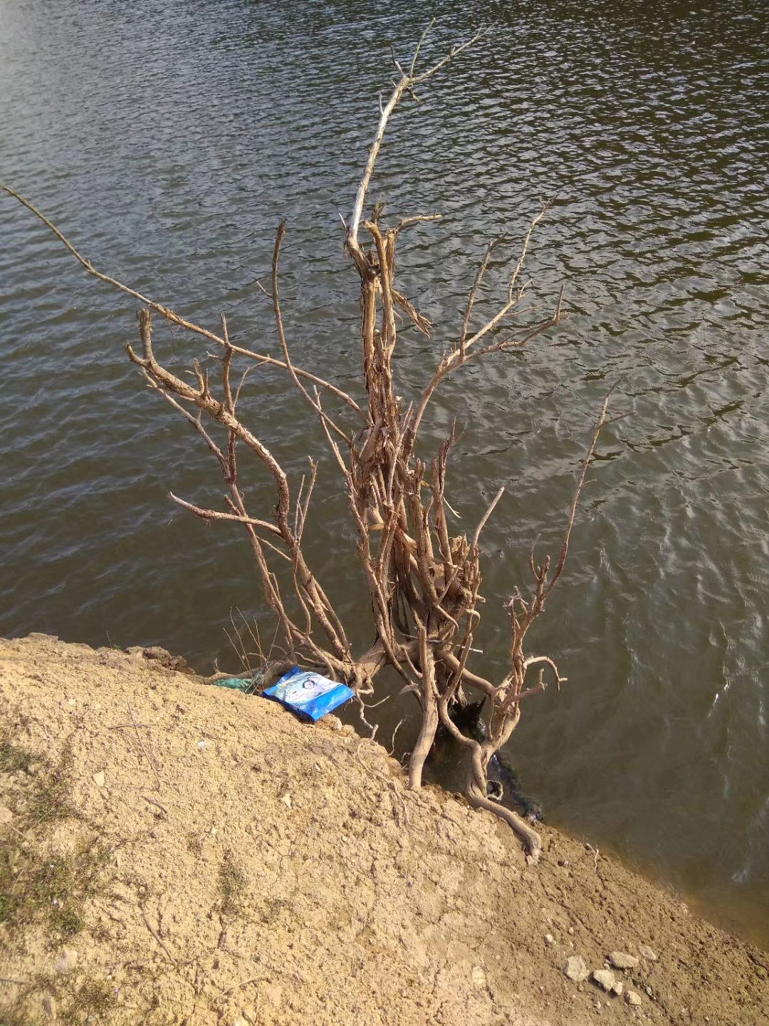 高山水库野钓鲤鱼,高山水库野钓