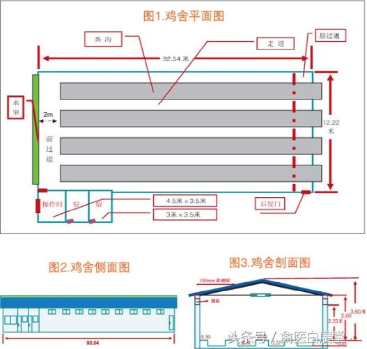 养鸡的小鸡舍建造方法,鸡舍放养技术和建造