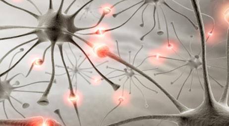 得了羊癫疯会撞墙吗,得了羊癫疯会影响工作吗