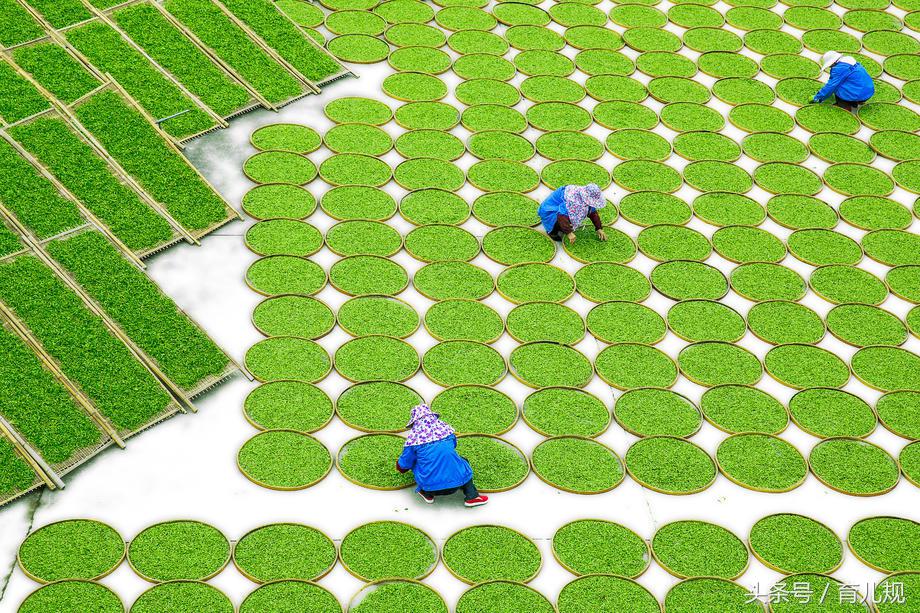幼儿数学思维排序,幼儿数学思维都有什么规律