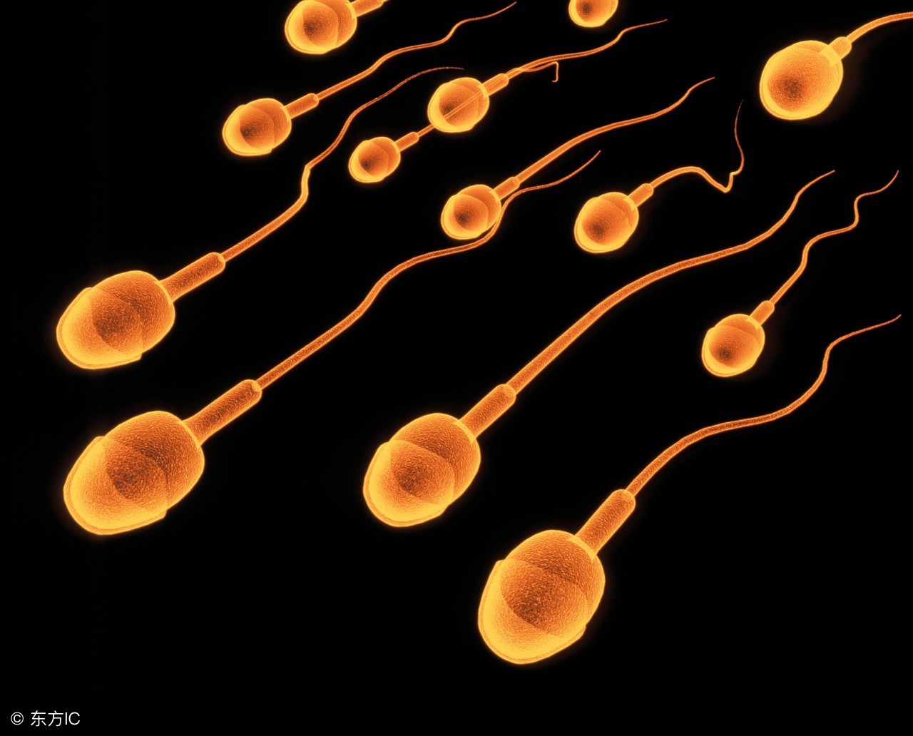 缺锌与不孕有关吗,备孕缺锌