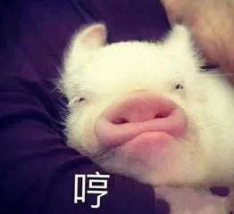 涂口红的女人精致,mac小样口红便宜