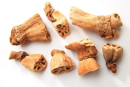 每一味中药背后都有一个美丽传说之藕节