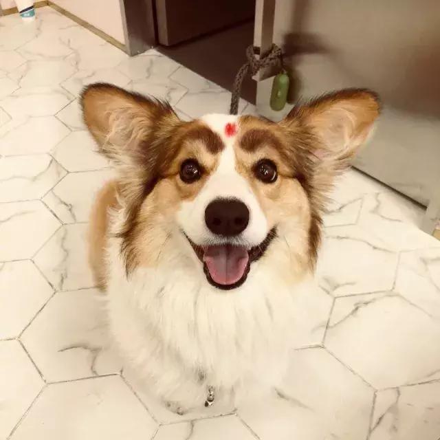 林允何穗抢数字,何穗说林允还年轻