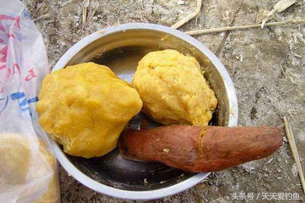 玉米饵料配方野钓测试,野钓最好用的玉米饵料