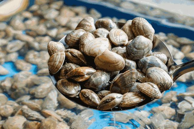 天津海鲜自助一百多一位的餐厅,天津高端自助海鲜价位