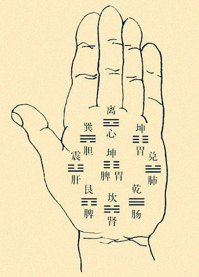 手相面相大全解析,手相面相准不准确怎么看