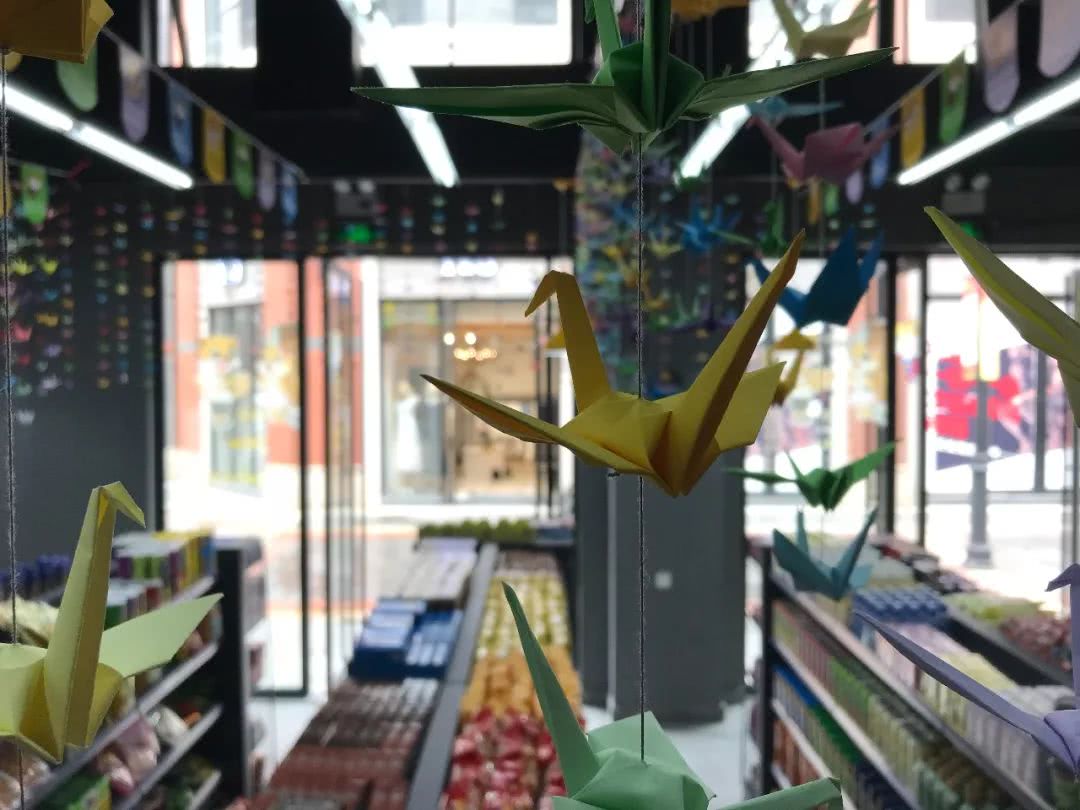 懒猫社长便利店开业,懒猫社长便利店视频