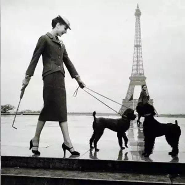 羡慕别人可以拥有你,羡慕别人有鞋