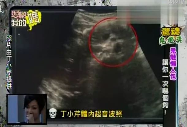 台湾女星被骗10亿,台湾骗艺人的女明星