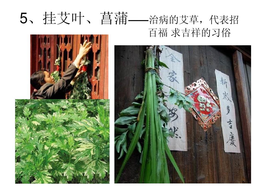 艾草百草之王,艾草为什么称为仙草