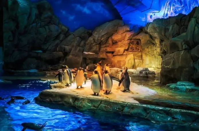 不止九龙旺角，这才是香港的天堂，但99%的人都去错地方了！