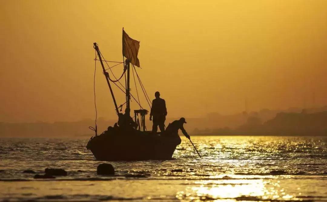 中国的番薯传奇，藏在晋江安海，一对“地瓜公”“地瓜妈”身上