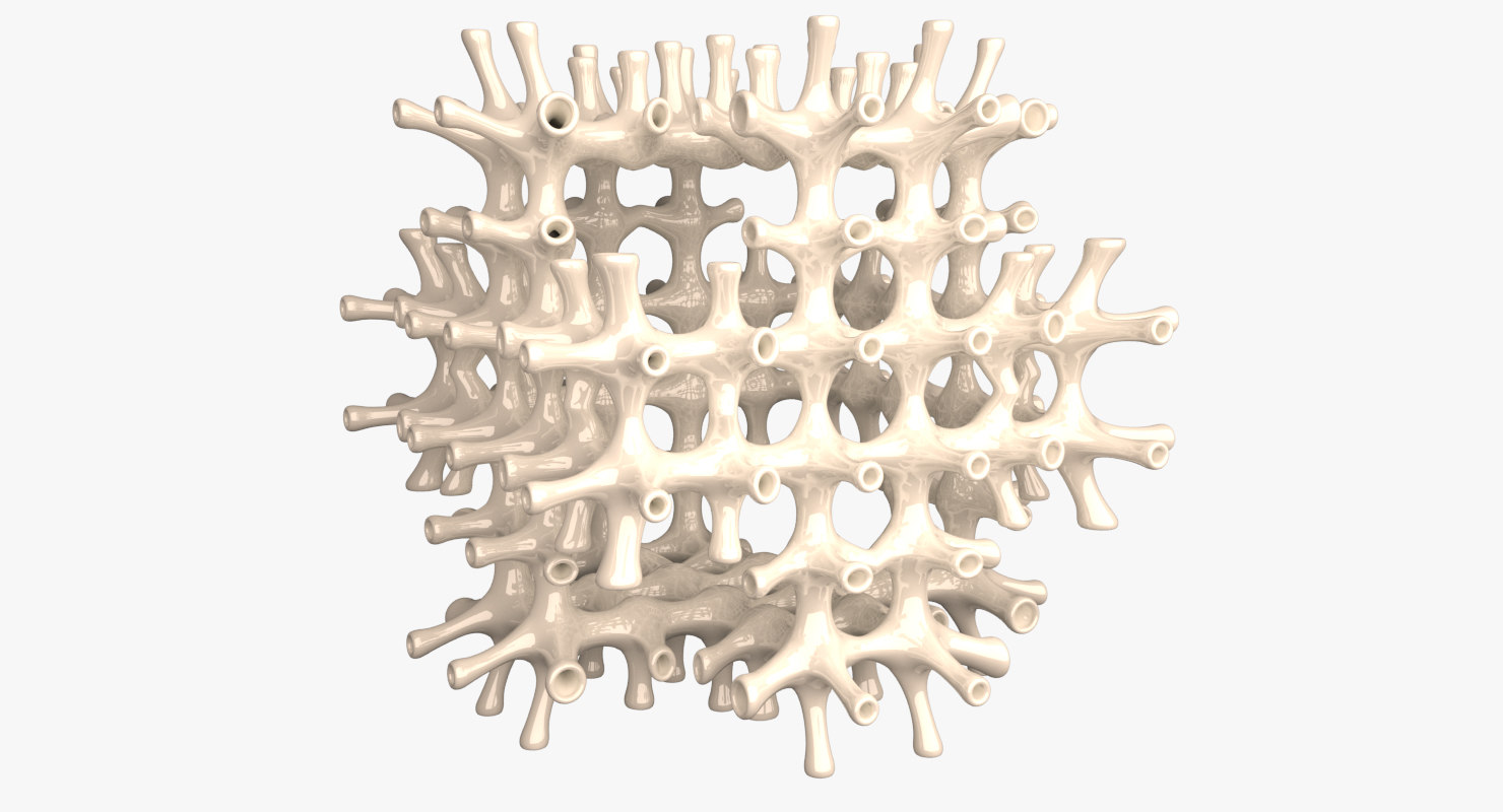 设计与美学,设计与美学生活