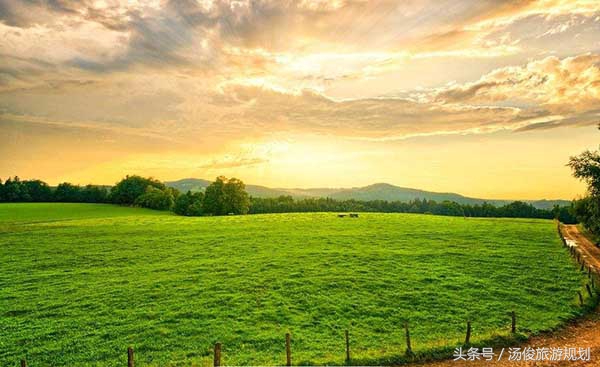 乡村振兴四荒地如何加以开发利用,乡村振兴荒地变绿