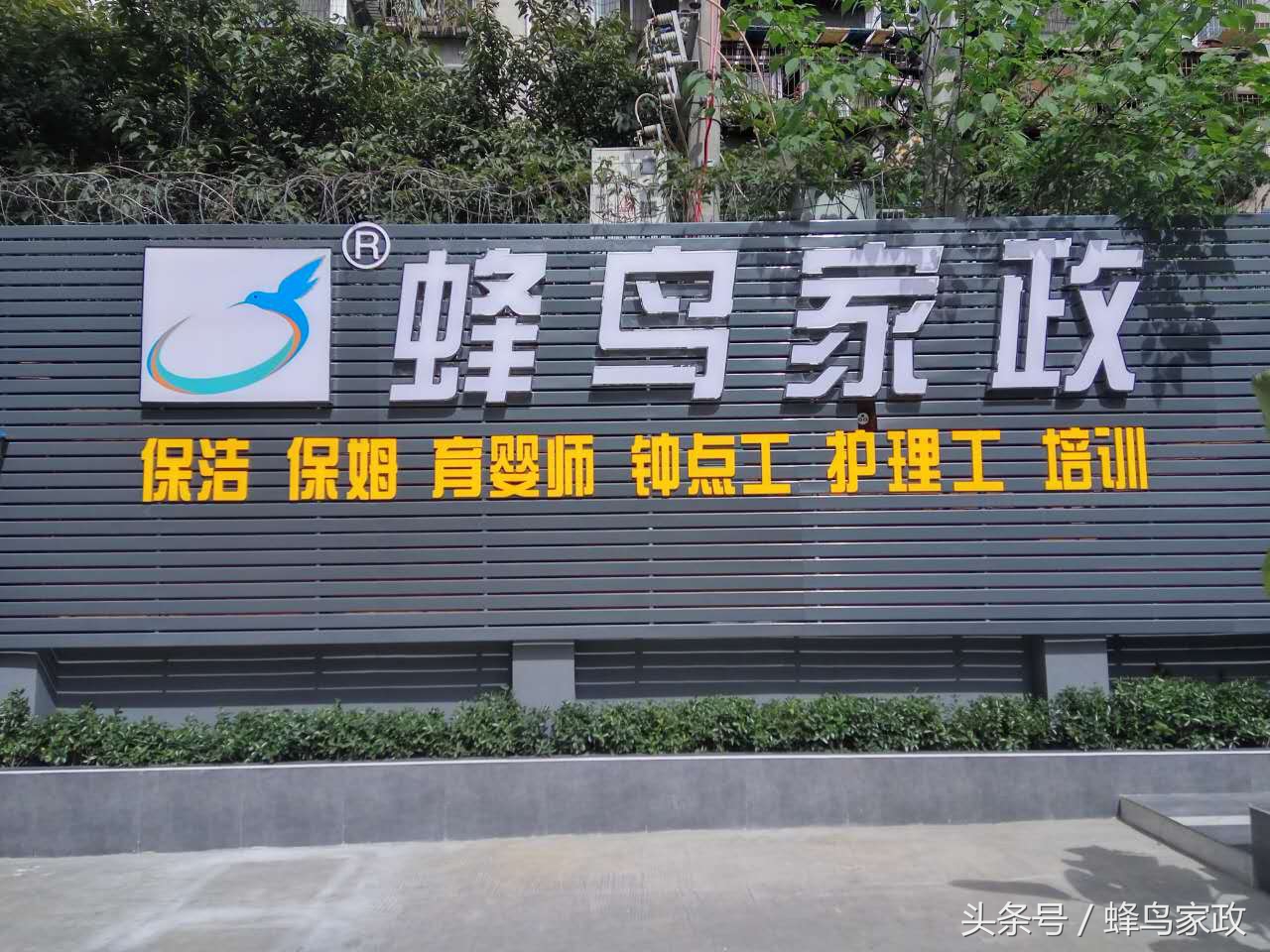 地毯清洗保洁方法具体步骤,地毯清洗护理