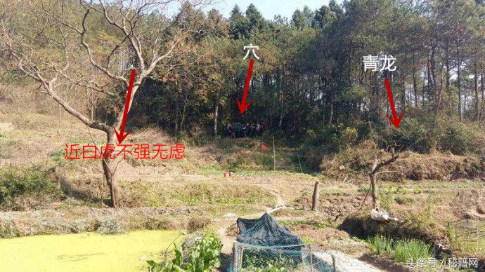 挖出28本失传古籍地理风水书,祖传风水地理古籍秘本