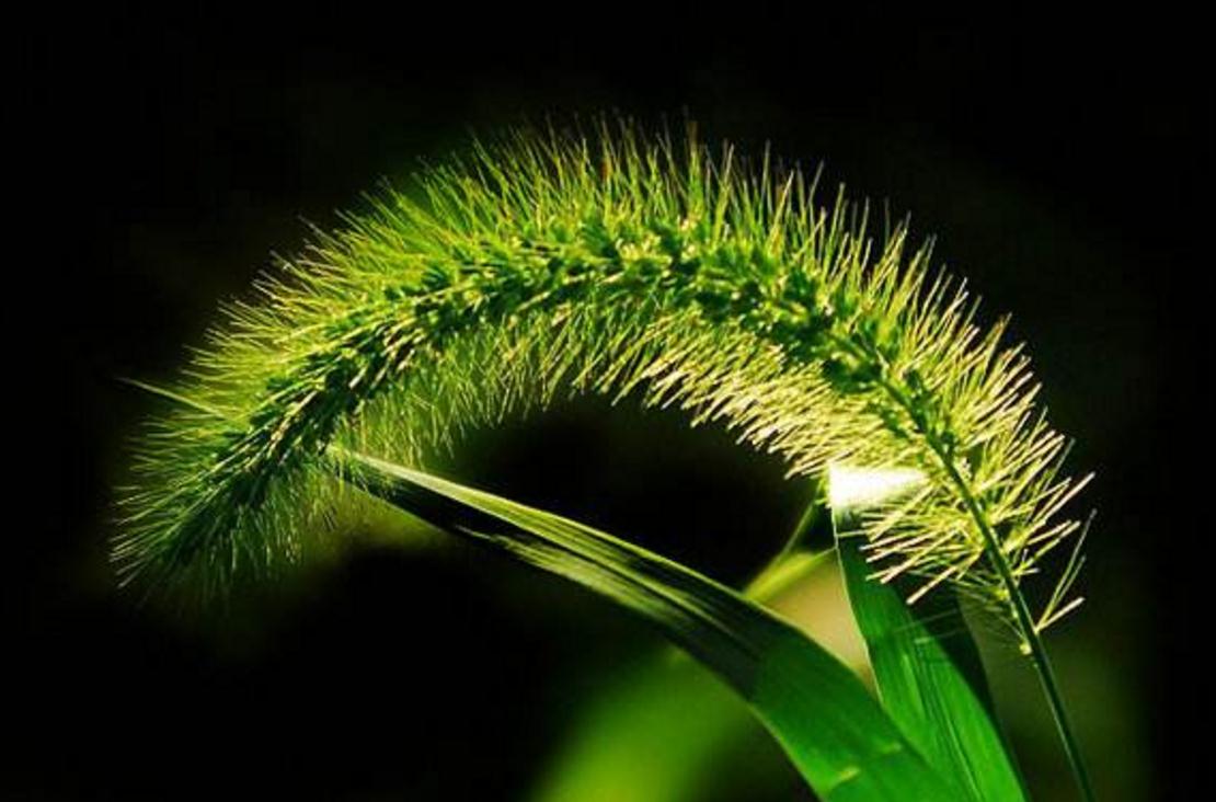 长得丑的励志句子,长得丑的句子经典语录