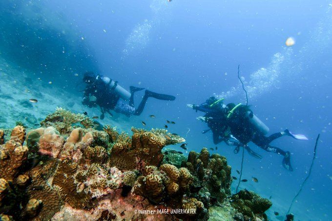 囧途：涛岛OW+AOW（高氧）考证之旅