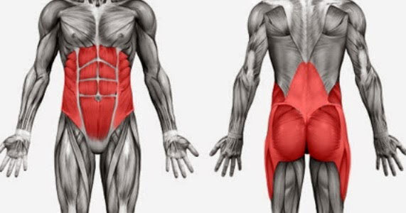 紧致肌肉普拉提,普拉提修复什么