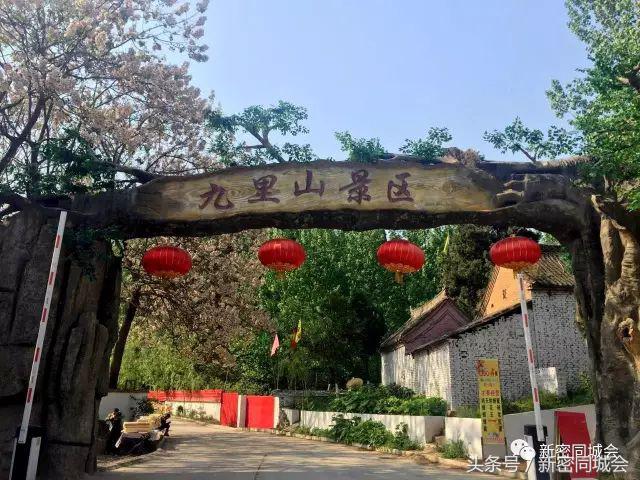 新密市九里山风景区摘槐花,新密超化九里山槐花林