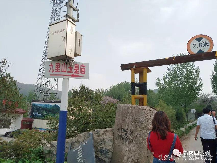 新密市九里山风景区摘槐花,新密超化九里山槐花林