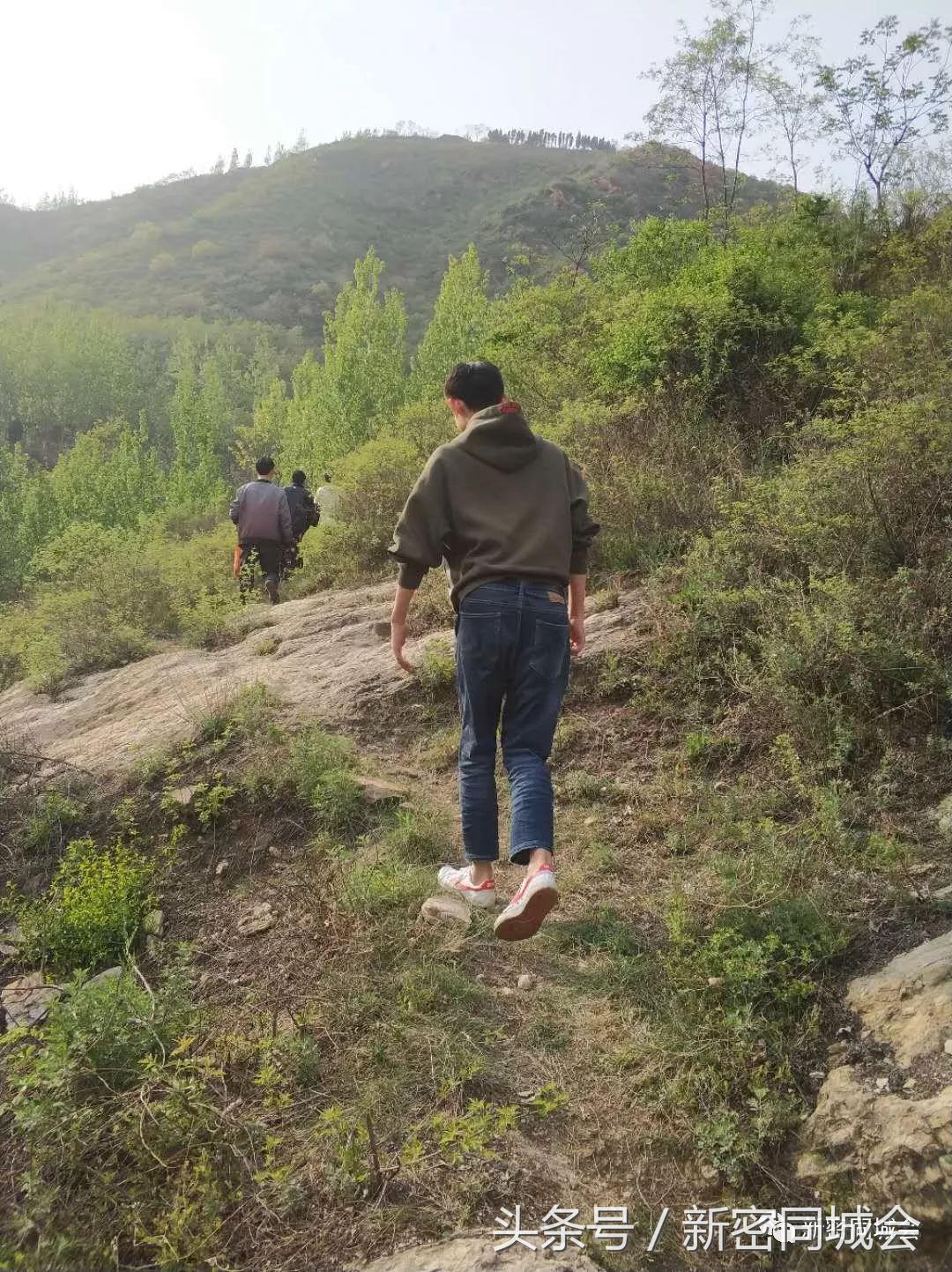 新密市九里山风景区摘槐花,新密超化九里山槐花林