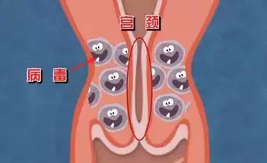 女人的身体有什么征兆,女性身体出现了这3种症状