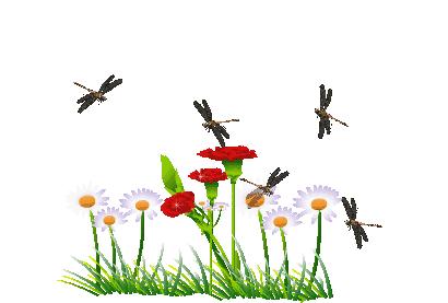 改善情绪、减轻疼痛,不妨试试园艺疗法!