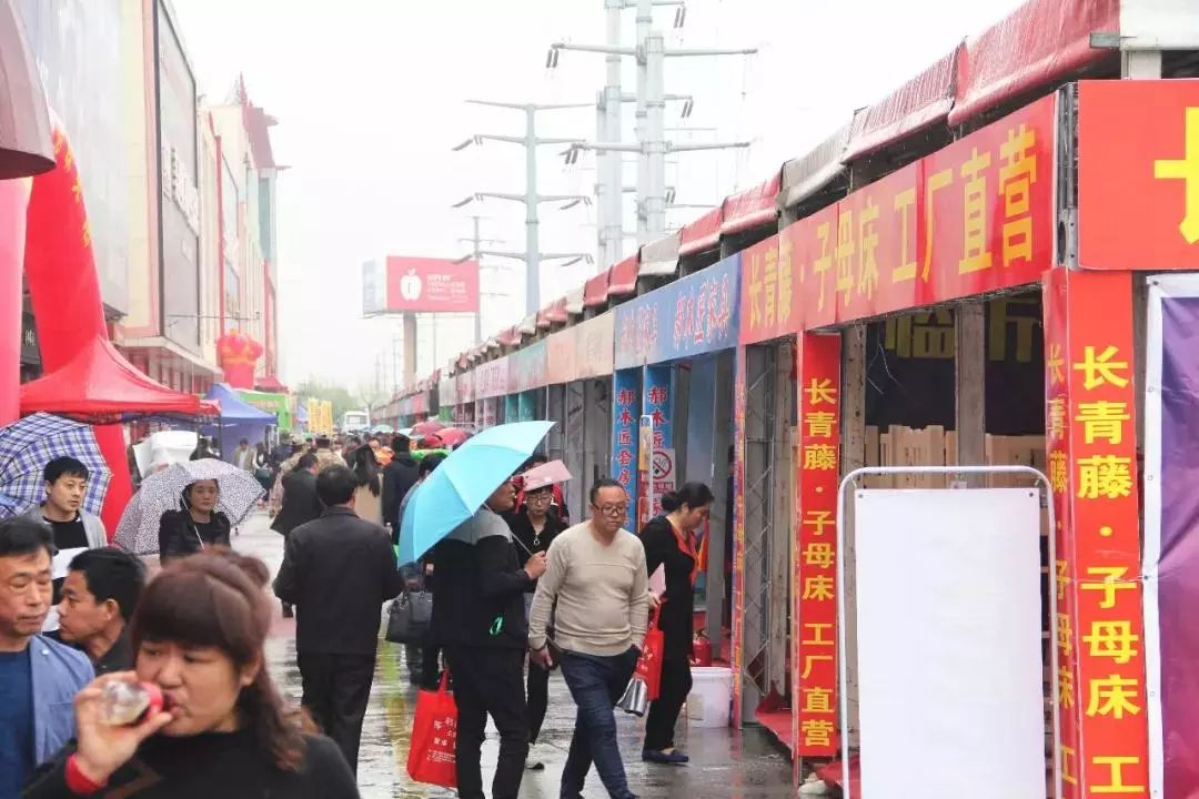 助力商城动能转换兰华家具城“一站式”再提升