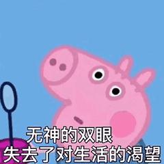 小猪佩奇表情包gif微信,小猪佩奇jojo版表情包