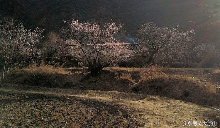 甘孜丹巴美女谷,甘孜藏族自治州美人谷