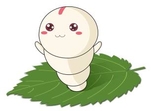 在家里怎么把一龄蚕养好,家养蚕注意事项