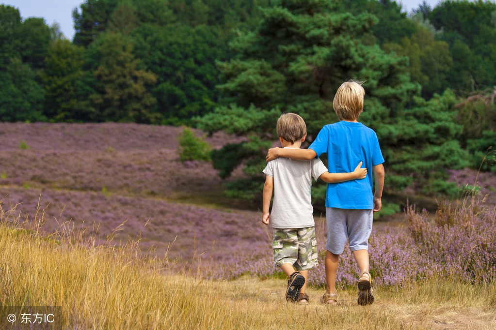 描写友情的好词好句,高考作文素材摘抄好词好句友情