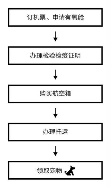 【每日一答】如何把宠物带到国外？#美国篇#