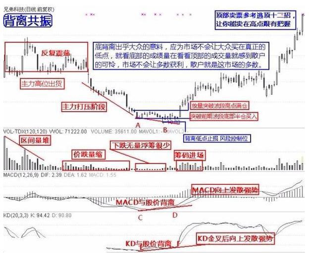 只有一种散户能赚钱,真正在股市赚钱的只有两种人