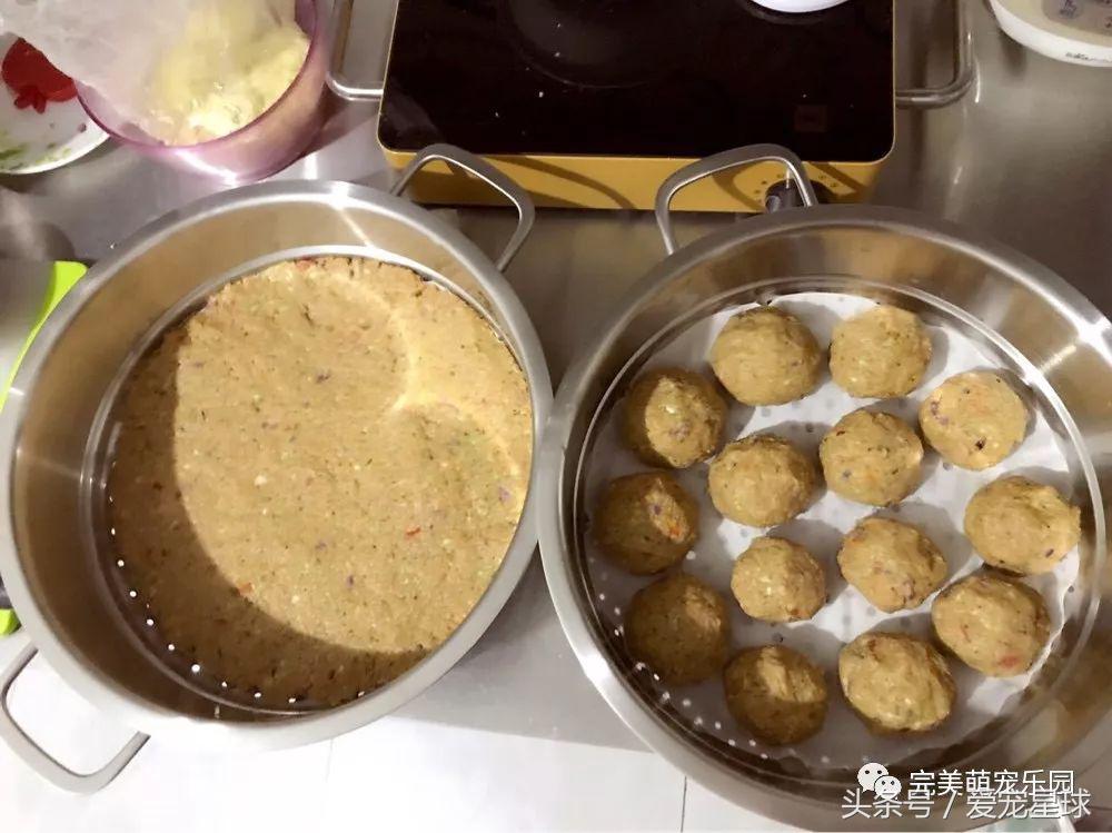 幼犬狗粮自制狗粮教程,怎么给狗自制狗粮器