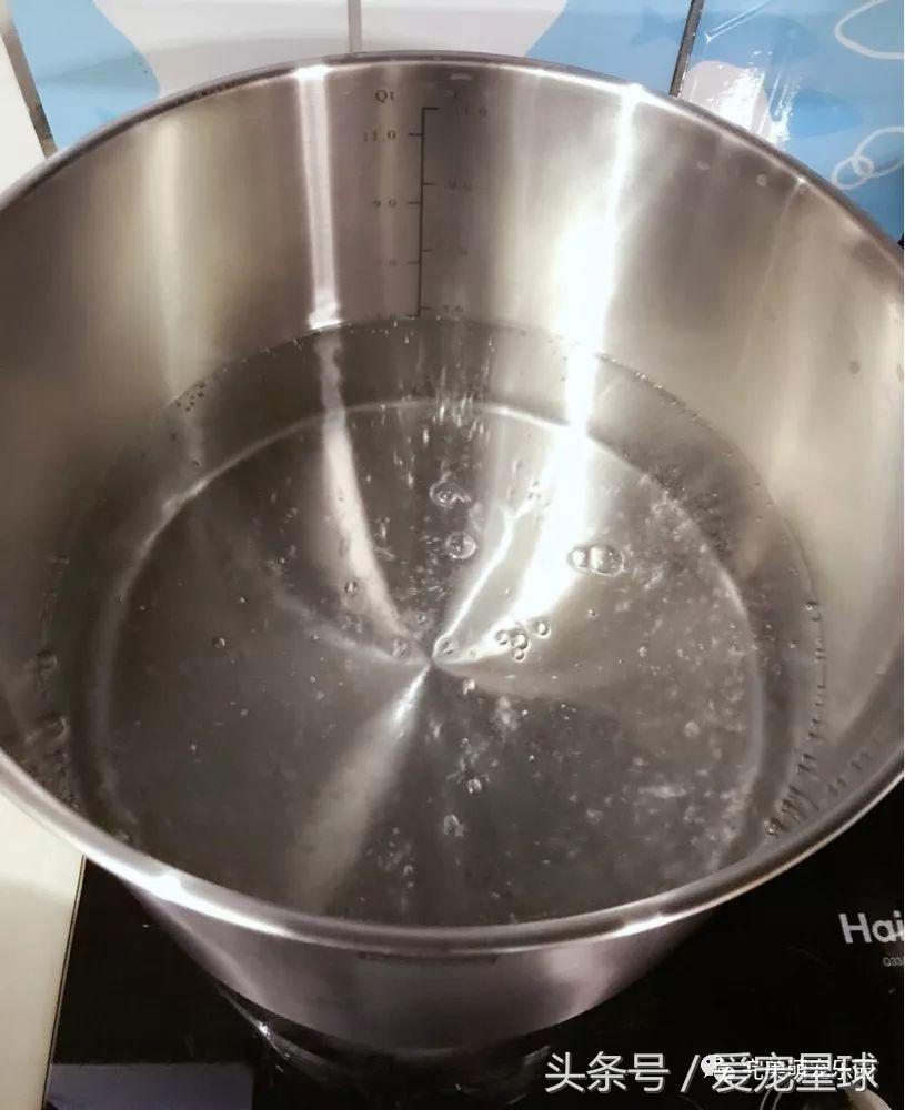 幼犬狗粮自制狗粮教程,怎么给狗自制狗粮器