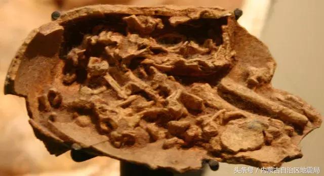 洗干净的恐龙,不可驯服的恐龙