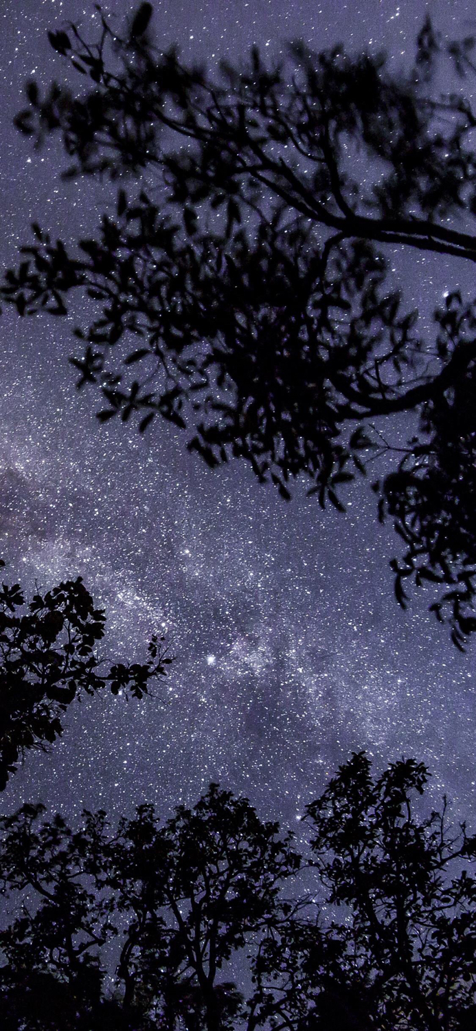 苹果x海滩官方壁纸,苹果x壁纸百事可乐