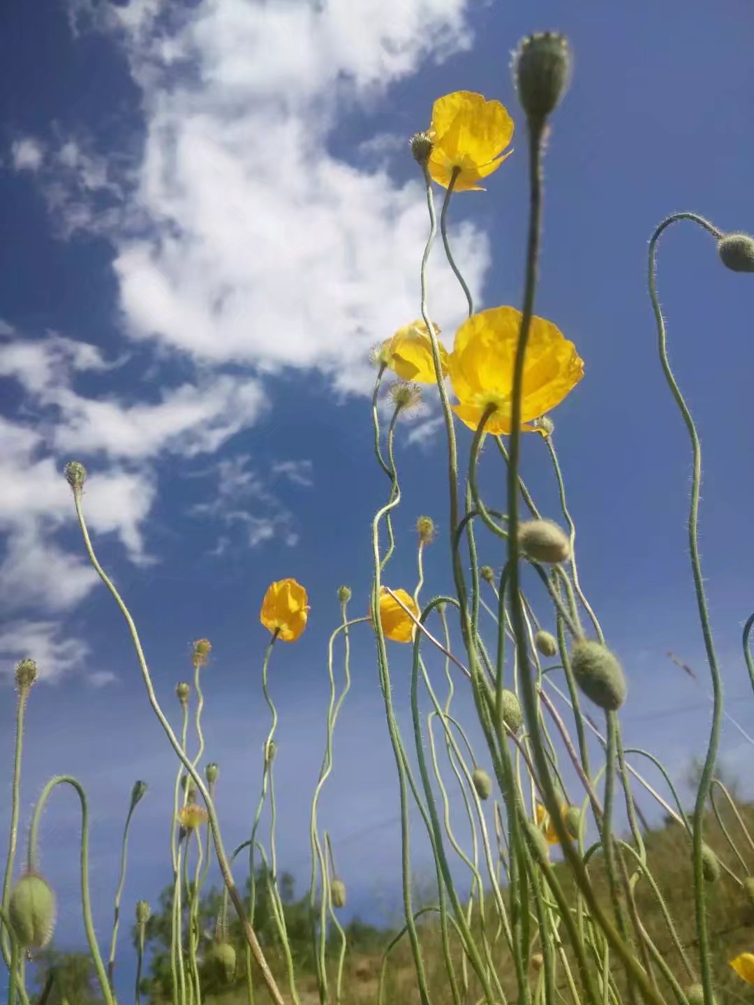 自驾车赤峰到通辽多远,骑行内蒙古331国道