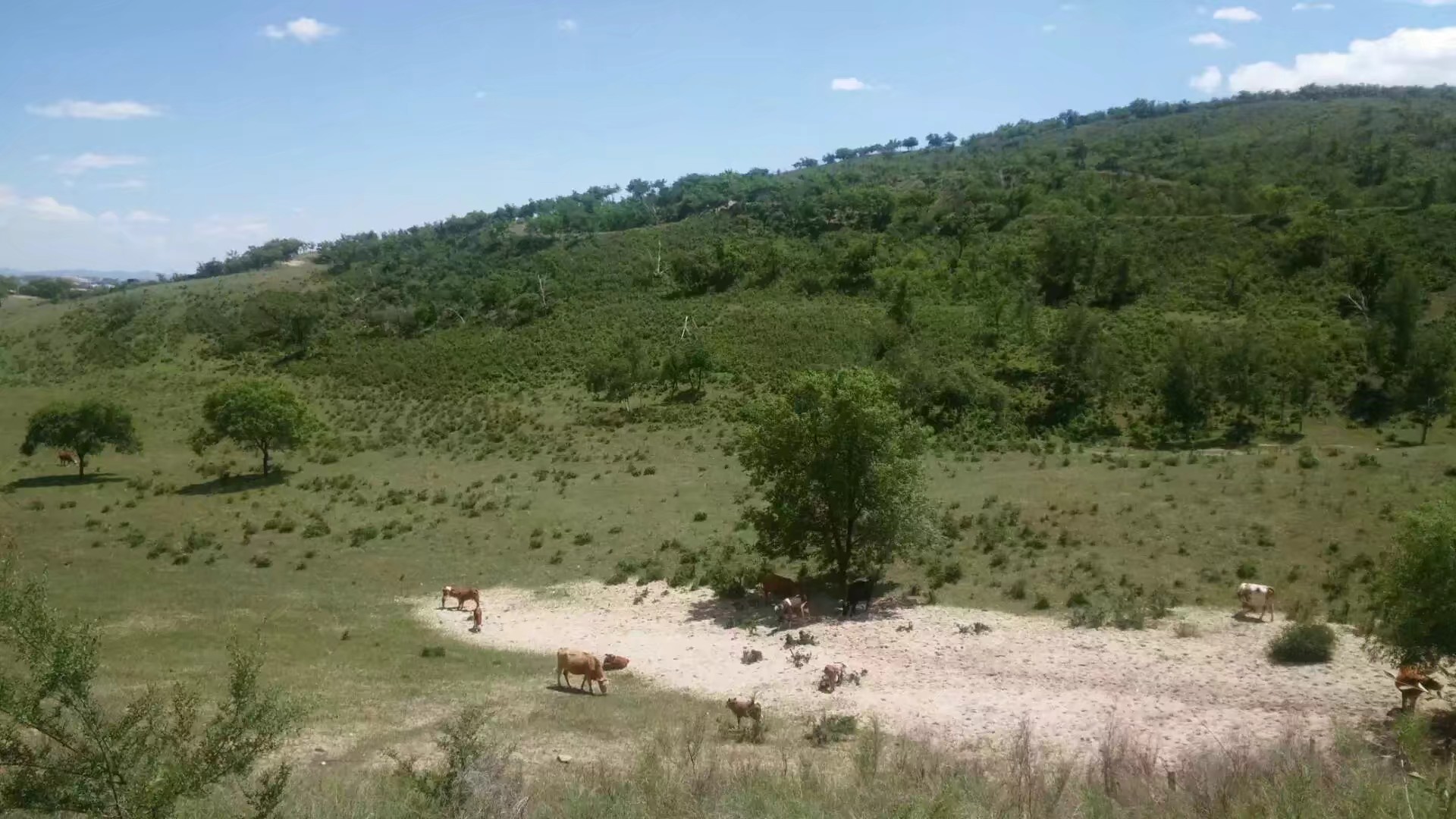 自驾车赤峰到通辽多远,骑行内蒙古331国道
