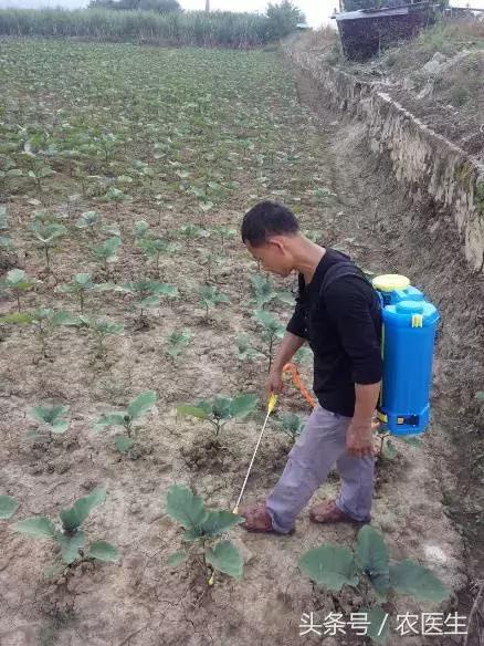 这家企业新模式，让农资店老板收入翻几倍加盟还送核心技术！