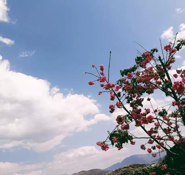 皓添金融,皓添金融稳健发展