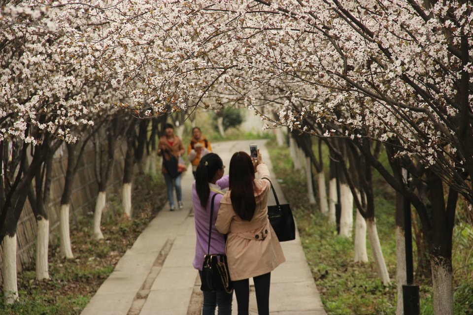 我的母校，位于四川绵阳得西南科技大学，那些迷人得景色